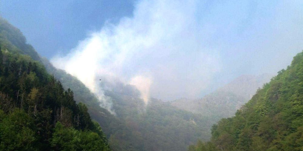 Incendiu puternic in zona Cetatii Poienari